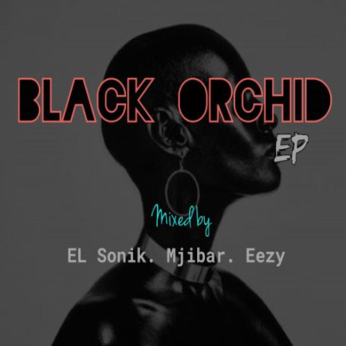Eazy, El Sonik & Mjibar - African Suicide (Original Mix)